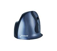 EVOLUENT Vertical Mouse D Small sans fil 2.4 Ghz