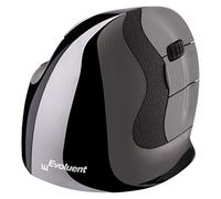 Evoluent Souris ergonomique D Small – Radio laser