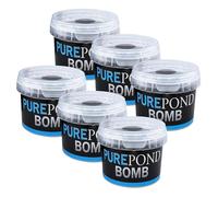 Evolution Aqua Pure Lot de 6 bombes de bassin