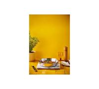 EVOLUTION Corps de Poêle Inox 3-plis BEKA D24