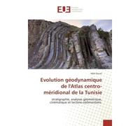 Evolution geodynamique de l'Atlas centro-meridional de la Tunisie Stratigraphie, analyses geometrique, cinematique et tectono-sedimentaire. - Hedi Zouari - Universitaires Europeennes - broché - Guide