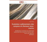 Evolution Sedimentaire Des Canyons Et Chenaux Sous-Marins