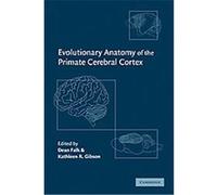 Evolutionary Anatomy of the Primate Cerebral Cortex