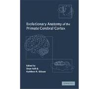 Evolutionary Anatomy of the Primate Cerebral Cortex