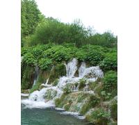 Evolve: My Self-Growth Notebook: Notes to My future self