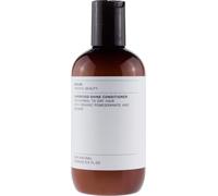 Evolve Organic Beauty Superfood Shine Conditioner - 250 ml