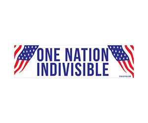 EvolveFISH Autocollant pour Pare-Chocs Indivisible One Nation 11" x 3"