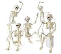 EVOTECH SCIENTIFIC Modèle de mini squelette humain pour l'anatomie, set de 5 squelettes pour décoration d'Halloween