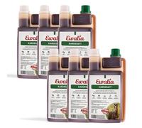 Ewalia Jus de carde - Complément alimentaire harmonisant pour chevaux, soutien du bien-être général, soin naturel pour les processus physiologiques, 100 % naturel pur, 6 x 1 l