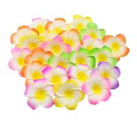 Ewanda store Lot de 100 pétales de fleurs artificielles en mousse de frangipanier de 5,1 cm de diamètre - Couleurs assorties