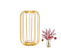 EWDHJK Vase hydroponique en Fer forgé de Style Minimaliste, Un Contenant Haut de Gamme for Vos compositions Florales, idéal for Le Buffet du Salon ou de la Salle à Manger.(14 * 14 * 26cm)