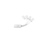 Ewent EW1110 - Concentrateur (hub) - 4 x USB 2.0 - de bureau