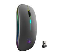 Ewent EW3242 souris Universel Ambidextre RF sans fil + Bluetooth Optique 1600 DPI