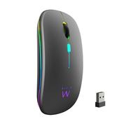 Ewent Souris sans Fil Rechargeable avec lumières RVB | Bluetooth 5.2 & 2.4 GHz | DPI réglable (800/1200/1600) | Boutons Silencieux | Compatible avec Windows, Mac, iOS, Android