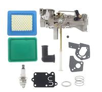 Ewillownm Compatible avec carburateur 5HP pour Moteur 498298 692784 495951 495426 135202 135212 avec kit de diaphragme 692189 à œillets 5021K