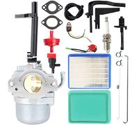 Ewillownm Compatible avec carburateur 697978 pour Briggs Stratton Nikki 695115 591378 030430 695114 Convient aux générateurs Storm Responder 5500