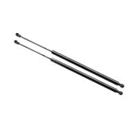 EWQPHLS Support de jambe de force compatible for BM X5 E53 2000-2006 SG302006 51248402405 vérin de levage de barre arrière de coffre de hayon