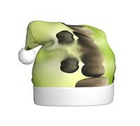 EWQrtyy Zen Stone Spa Impression Communauté Rassemblements Chapeaux de Noël pour Adultes Femmes Hommes Performance Scène Joie Vacances