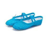 EWUHYFP Ballerine Danse Fille Ballet Dance Shoes Yoga Gym Flat Slippers Glitter Pink Blue Rose Red Colors for Children Girls Women Teacher(Blue,25)