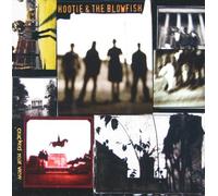 Ex-Cracked Rear View