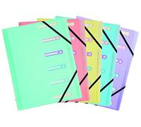 Exacompta - Trieur A4 - 6 compartiments - 3 rabats - couleur pastel