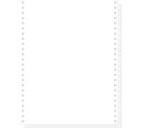 EXACOMPTA 1000 feuilles de listing autocopiantes blanc 240x12 2plis microperforations 4 côtés Bandes Caroll Détachables - Blanc