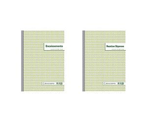 Exacompta 13520E Un carnet ENCAISSEMENTS 50 feuillets Dupli autocopiant, 29.7 x 21 cm & Réf. 13500E - 1 Manifold Recettes dépenses 29,7x21cm 50 feuillets dupli autocopiants