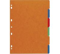Exacompta 1406E Register Nature Future® - A4, blanko, Manila-Karton, 6-teilig, farbig