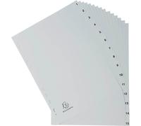 Exacompta 1715E Registre des dossiers pleine taille 1-15 gris(T)