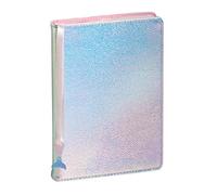 Exacompta - 1824851E - Agenda journalier Forum Color Ariel - 12 x 17 cm - Août 2025 à juillet 2026 - Coloris argent