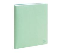 Exacompta 2101603E - Agenda de bureau SAD 21S EasyTime Joy 15 x 21 cm - Semainier Septembre 2026 à Décembre 2027-16 mois - Menthe