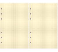 Exacompta - 28211E - Recharge Bloc de feuilles quadrillé pour organiseur Exatime 21-40 feuillets Ivoires (Lot de 2)