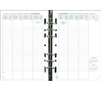 Exacompta 28272E - 1 Recharge Pour Organiseur Exatime 21 - Format 15 x 21 cm - 1 Semaine sur 2 Pages - Septembre 2025 à Décembre 2026