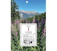 Exacompta - 32113E - Bloc éphéméride comique 6,5 x 9,7 cm - Sur plaque illustrée classique 18 x 26 cm - 2026 - Visuel aléatoire