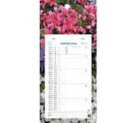 Exacompta - 33114E - Calendrier mensuel avec feuillets détachables 15,5 x 28,5 cm - Sur support plaque imprimée Nature 19 x 41 cm - 2026 - Visuel aléatoire