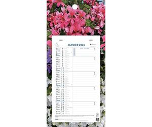 Exacompta 33114E - Calendrier mensuel avec feuillets détachables 15,5 x 28,5 cm - Sur support plaque imprimée Nature 19 x 41 cm - Janvier à décembre 2026 - Visuel aléatoire