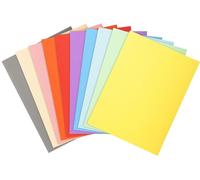 EXACOMPTA 410000E EXACOMPTA Couverture de dossier FOREVER 250, DIN A4, couleurs assorties