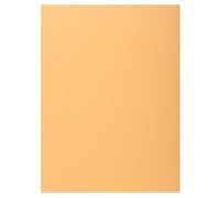 Exacompta Chemises rigides Réf.339002E – Pack 50, 1 rabat 210 g/m², pastel PEFC, 24×32cm A4, bulle