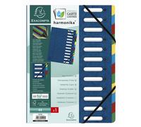 EXACOMPTA 55122E Classeur à levier DIN A4 Carton 12 compartiments bleu