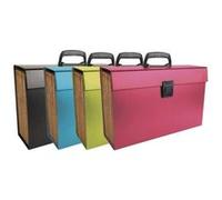 Exacompta 58420E Trieur valisette avec poignée/fermeture bouton pressoir 20 compartiments 38,5 x 25 cm Couleurs Assorties G