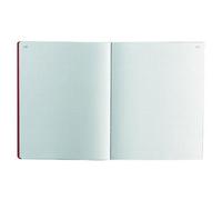 Exacompta 6410E - Piqûre comptable foliotée 80 pages, quadrillé 5x5, 320×250 mm
