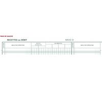 Exacompta 6820E Journal de Caisse ou de Banque piqué horizontal 27 x 32 cm folioté 80 pages 31 lignes 110 g/m² 2 libellés