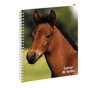 Exacompta 999163E - Cahier de textes à spirale Animaux - 17 x 22 cm - Visuel cheval