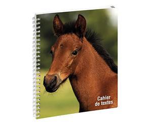 Exacompta 999163E - Cahier de textes à spirale Animaux - 17 x 22 cm - Visuel cheval