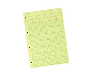 Exacompta Bloc Audit de Contrôle comptable, 6 colonnes, 70 feuillets - 21 x 29,7 cm - A4