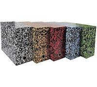 Exacompta Boîte transfert Annonay Réf. 89820E – A4 – Dos 120 mm – œillet en métal – 25,5x34x12 cm