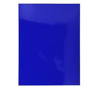 Exacompta Bte de 20 Chromolux 250 Bleu