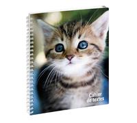 Exacompta - Cahier de textes à spirale Animaux 17x22cm Chat yeux bleus