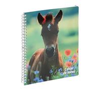 Exacompta - Cahier de textes à spirale Animaux 17x22cm Poulain