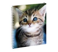 EXACOMPTA Cahier de textes Animaux Chat yeux bleus 17 x 22 cm - Visuels assortis